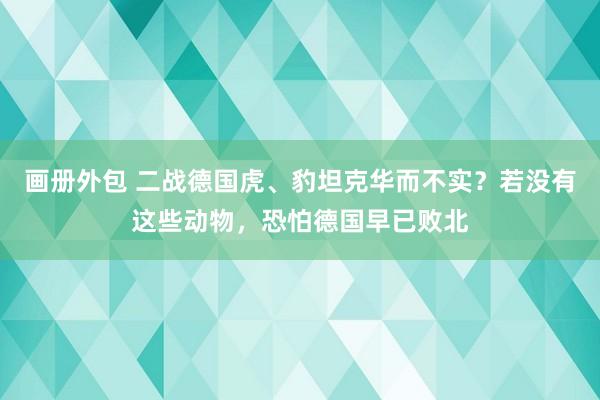 画册外包 二战德国虎、豹坦克华而不实？若没有这些动物，恐怕德国早已败北